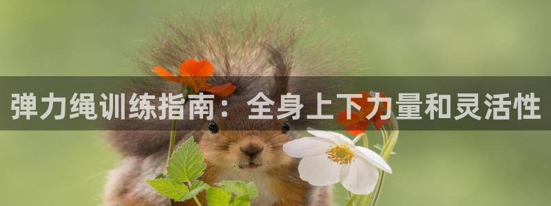 尊龙凯时有假么：弹力绳训练指南：全身上下力量和灵活性