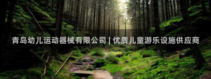凯时官网手机版首页：青岛幼儿运动器械有限公司 | 优