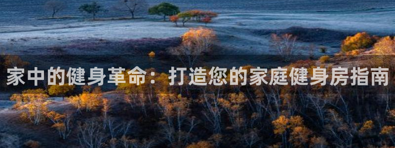 尊龙凯时人生就是搏技术实力：家中的健身革命：打造您的