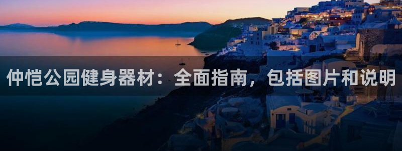 尊龙凯时怎么注销账号：仲恺公园健身器材：全面指南，包