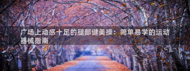 尊龙最新版：广场上动感十足的腿部健美操：简单易学的运
