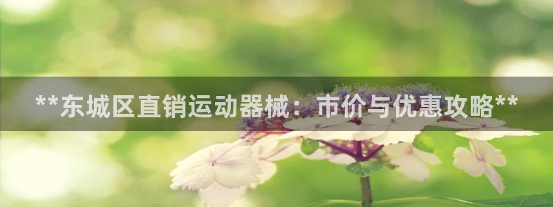 凯时官网：**东城区直销运动器械：市价与优惠攻略**