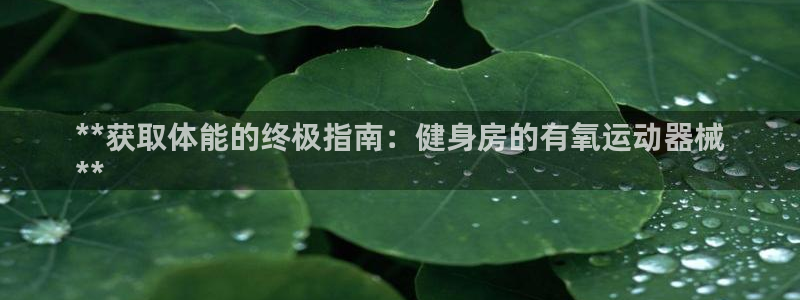 尊龙官网手：**获取体能的终极指南：健身房的有氧运动