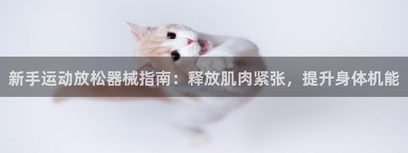 尊龙旗舰app：新手运动放松器械指南：释放肌肉紧张，