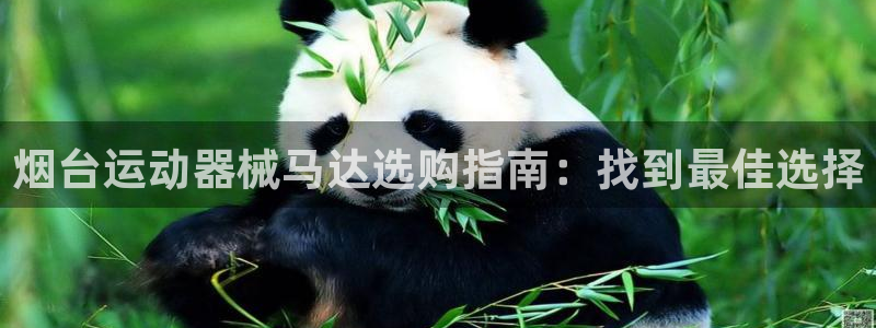 尊龙凯时人生就博官网：烟台运动器械马达选购指南：找到