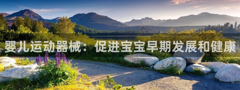 尊龙人生就是-首页(中国)有限公司：婴儿运动器械：促