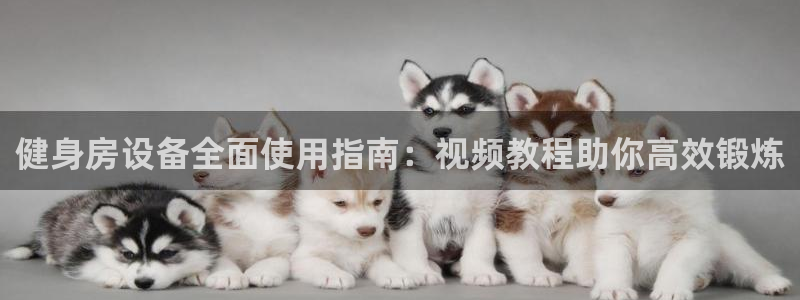 尊龙凯时ag旗舰厅官方网站：健身房设备全面使用指南：