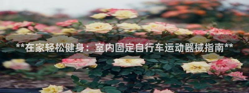 尊龙品牌怎么样：**在家轻松健身：室内固定自行车运动