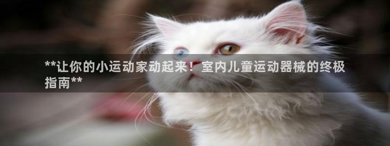 尊龙凯时 - 人生就是搏手机登录：**让你的小运动家