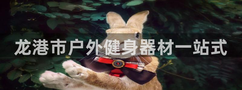 尊龙凯时用户名m：龙港市户外健身器材一站式