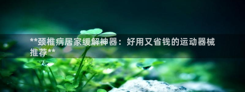 尊龙服饰有限公司地址