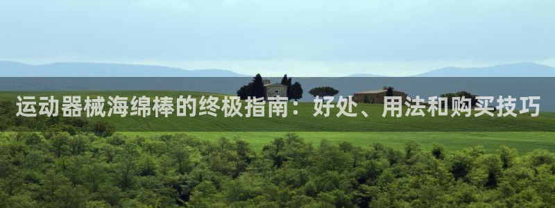 尊龙凯时的企业文化