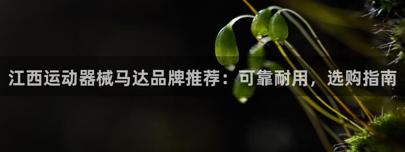 尊龙尊龙
