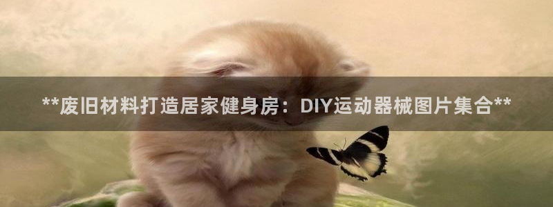 尊龙人生就是博AG