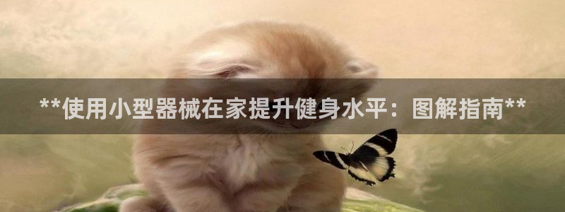 z6尊龙官方网站