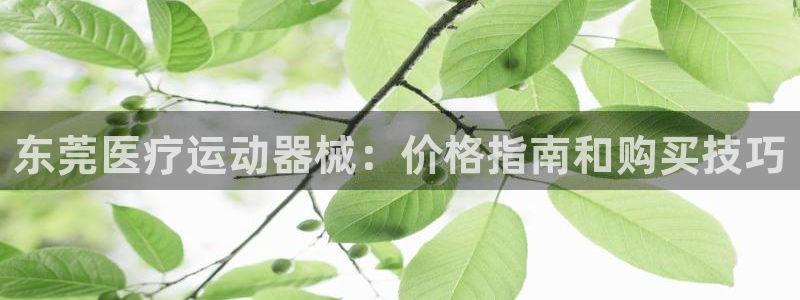 尊龙手机客户端app
