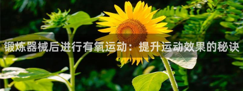 尊龙app官网登录
