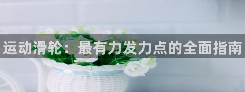 尊龙官方网站
