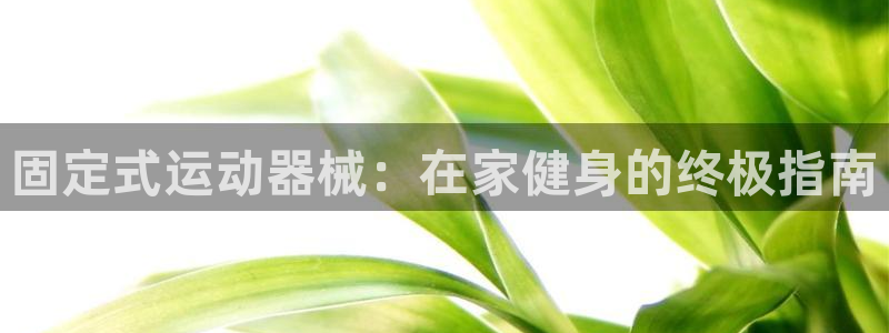 尊龙网站手机下载