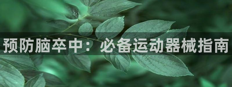 尊龙人生就是博下载