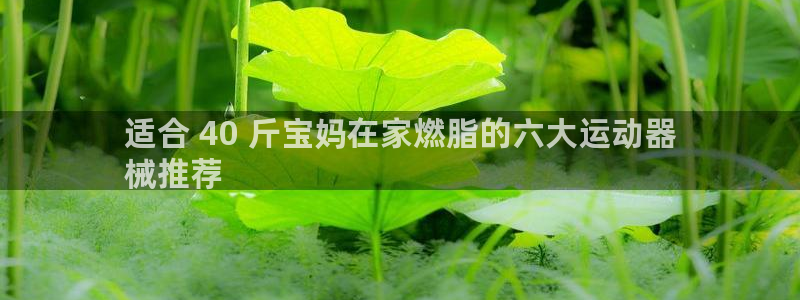 尊龙凯时平台信誉怎样：适合 40 斤宝妈在家燃脂的六