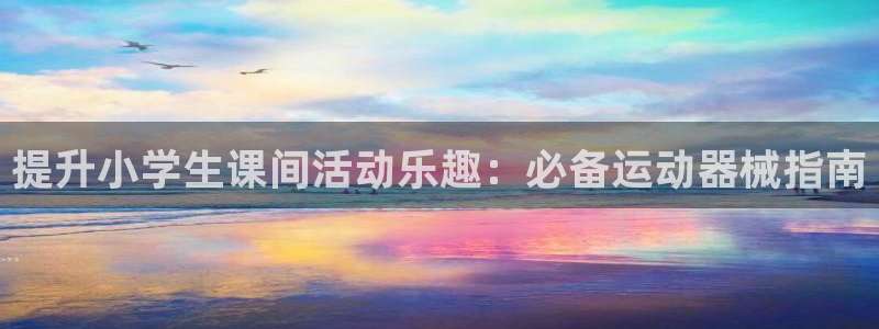 凯时首页登录：提升小学生课间活动乐趣：必备运动器械指