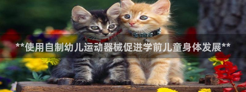 尊龙登录首页：**使用自制幼儿运动器械促进学前儿童身