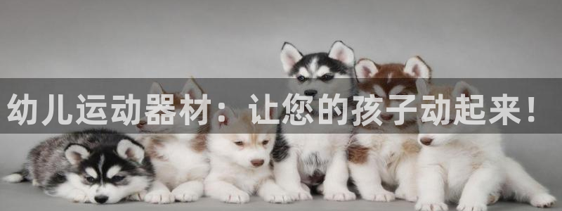 尊龙AG旗舰店：幼儿运动器材：让您的孩子动起来！