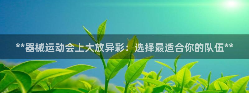 尊龙凯时下载官方正版：**器械运动会上大放异彩：选择