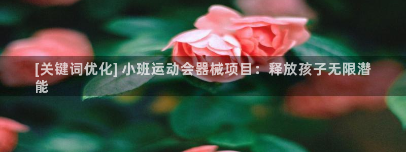 尊龙app注册官网：[关键词优化] 小班运动会器械项