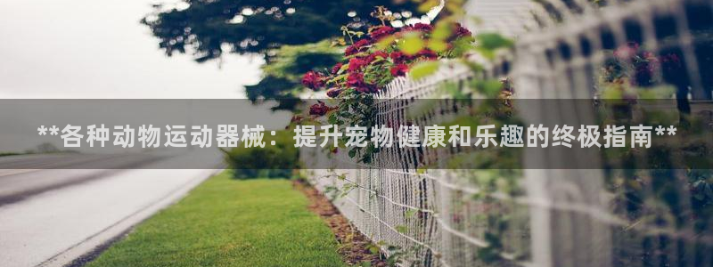尊龙服饰品牌介绍：**各种动物运动器械：提升宠物健康