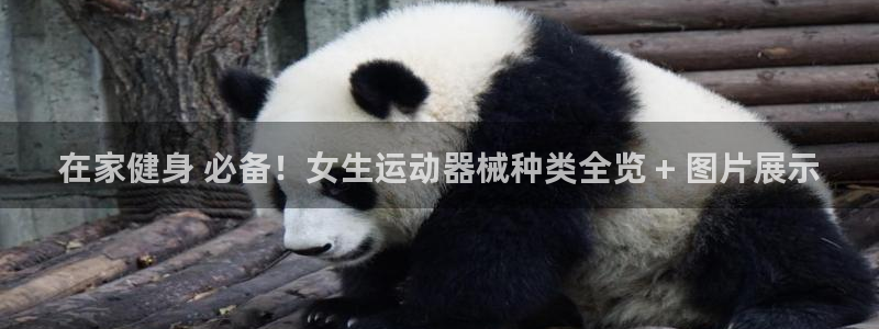尊龙凯时 人生就是搏客服：在家健身 必备！女生运动器