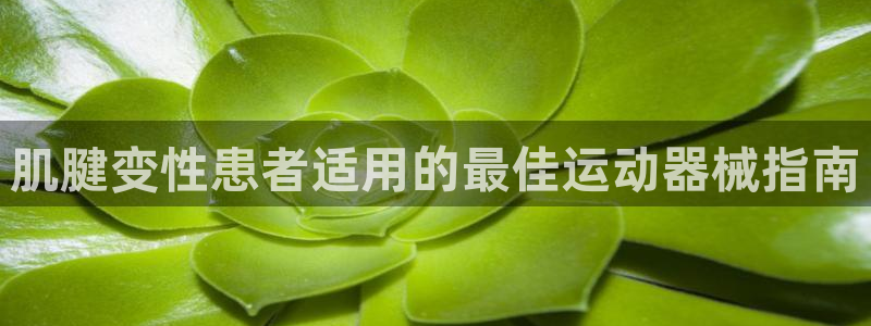 d88尊龙z6：肌腱变性患者适用的最佳运动器械指南