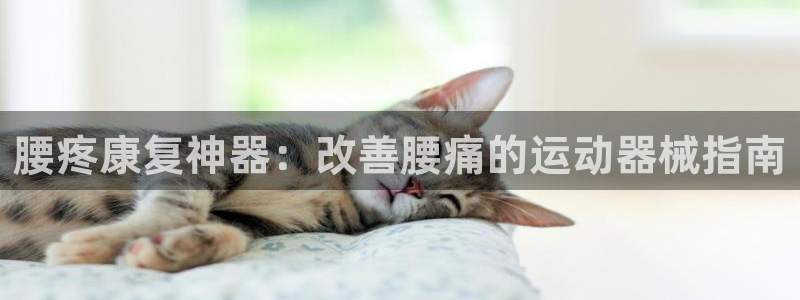 尊龙王t400：腰疼康复神器：改善腰痛的运动器械指南