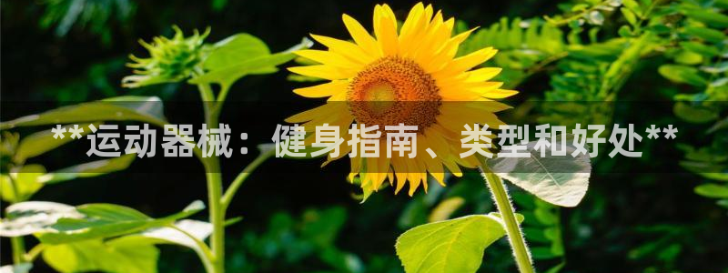 尊龙人生就是一博!：**运动器械：健身指南、类型和好