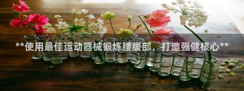 尊龙人生就是博旧版：**使用最佳运动器械锻炼腰腹部，
