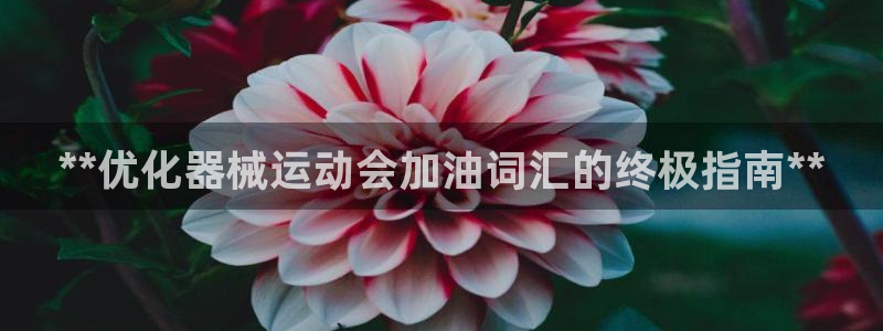 尊龙电子：**优化器械运动会加油词汇的终极指南**