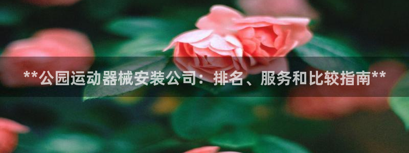 尊龙z6官网：**公园运动器械安装公司：排名、服务和