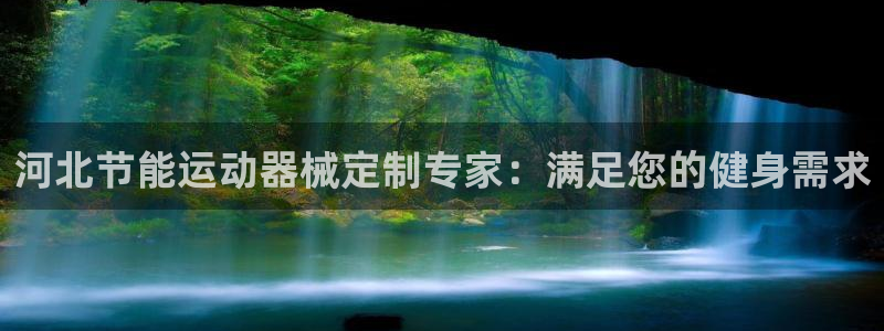 尊龙凯时vip：河北节能运动器械定制专家：满足您的健