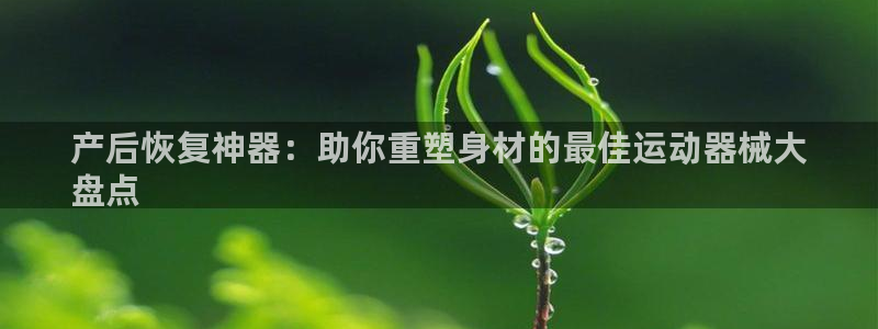 尊龙凯时赞助：产后恢复神器：助你重塑身材的最佳运动器