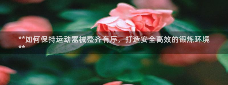 尊龙APP客户端平台：**如何保持运动器械整齐有序，
