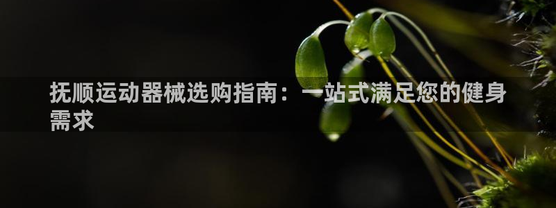 尊龙手机官方客户端下载安装：抚顺运动器械选购指南：一