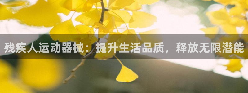 凯时国际最新：残疾人运动器械：提升生活品质，释放无限