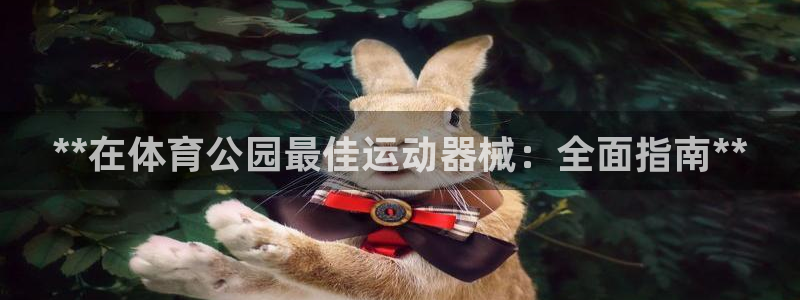 凯时网上官方网站：**在体育公园最佳运动器械：全面指