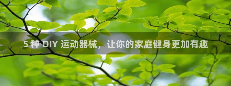 尊龙官网下载：5 种 DIY 运动器械，让你的家庭健