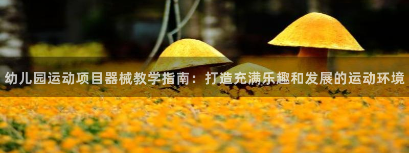 尊龙会：幼儿园运动项目器械教学指南：打造充满乐趣和发