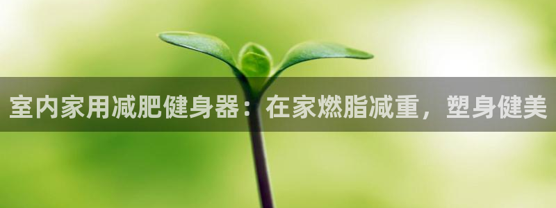 尊龙现金：室内家用减肥健身器：在家燃脂减重，塑身健美