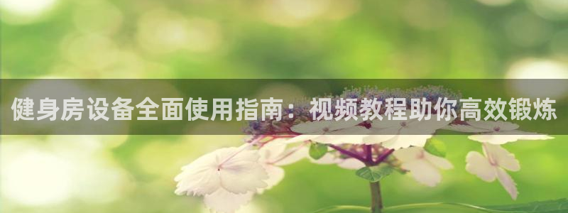 尊龙凯时有没有出不了款的情况：健身房设备全面使用指南