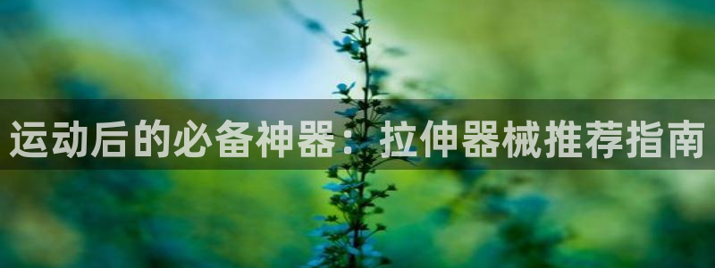 尊龙凯时网娱乐最新版：运动后的必备神器：拉伸器械推荐