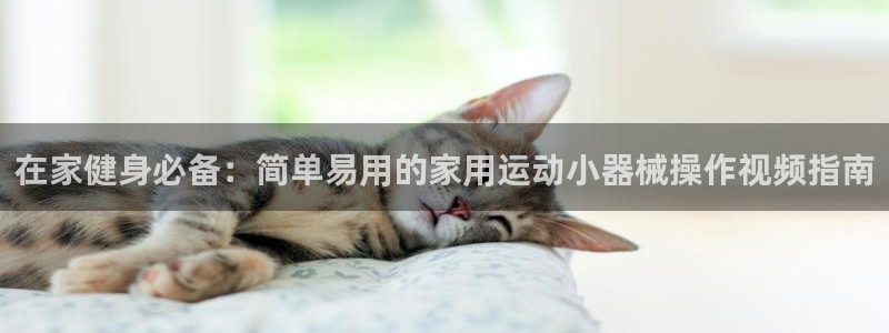 尊龙官方平台：在家健身必备：简单易用的家用运动小器械